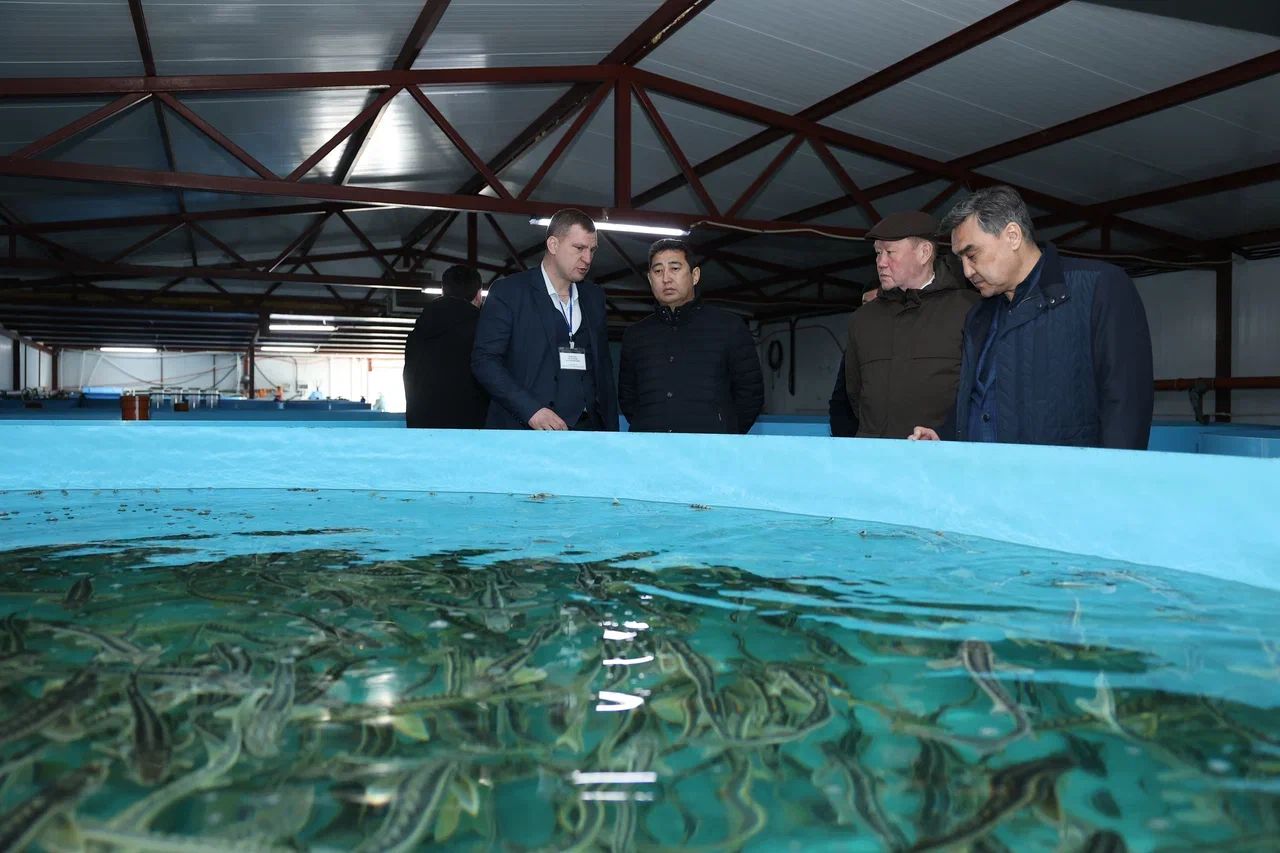 Айдарбек Сапаров Қостанай облысындағы агроөнеркәсіп кешеніндегі инвестициялық жобалардың іске асырылу барысымен танысты