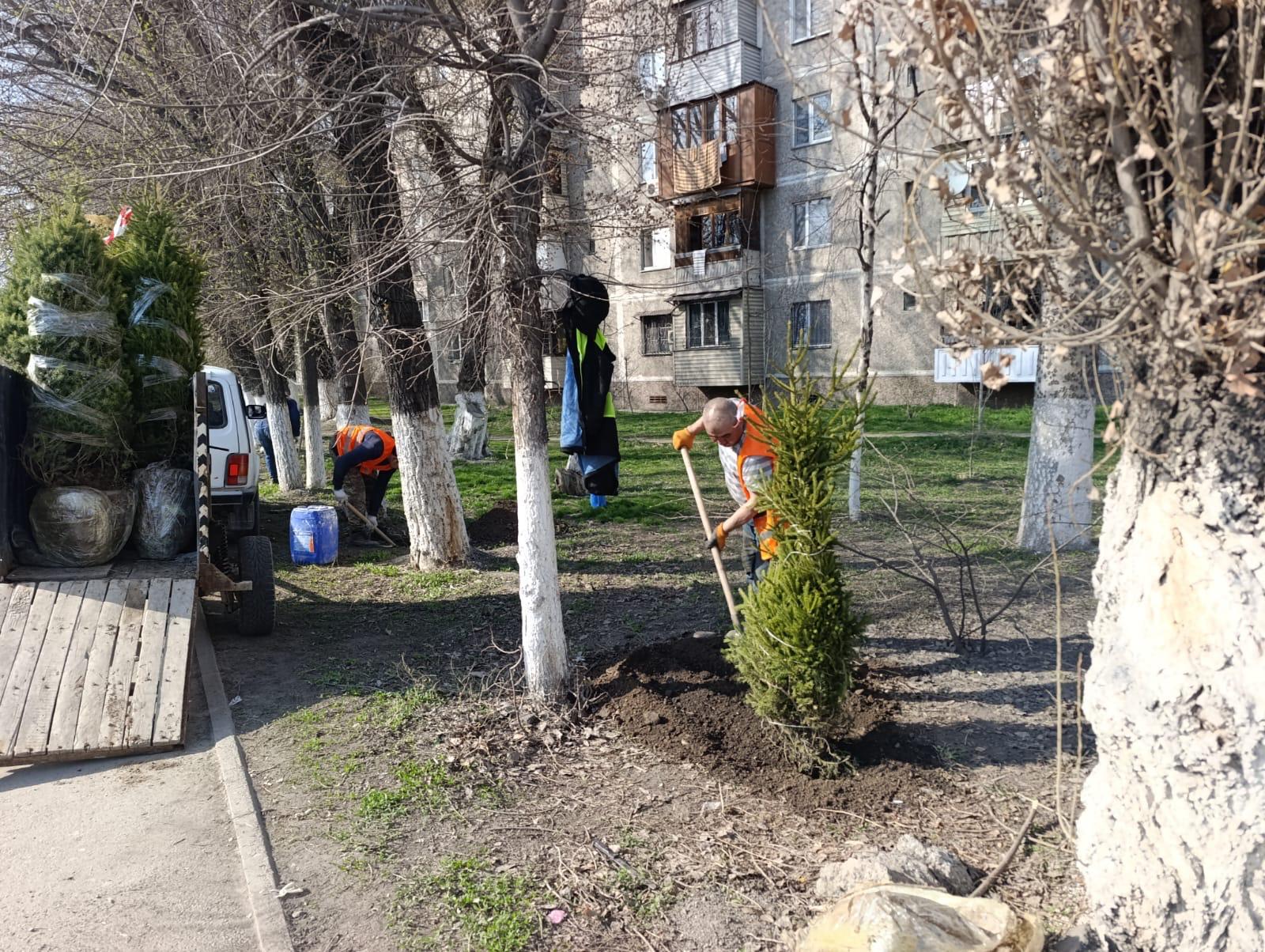 2026 жылғы 28 наурызда Іле ауданында кең ауқымды сенбілік ұйымдастырылды.