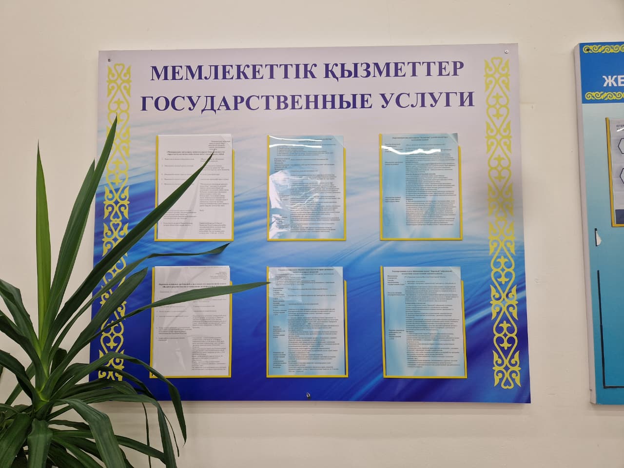 В целях разъяснения порядка оказания государственных услуг проведены мероприятия