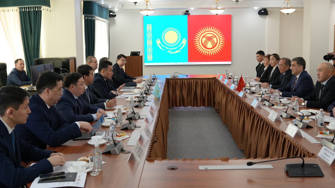 Қазақстан мен Қырғызстан әлеуметтік-еңбек саласындағы ынтымақтастықты нығайтып, цифрлық тәжірибе алмасуда