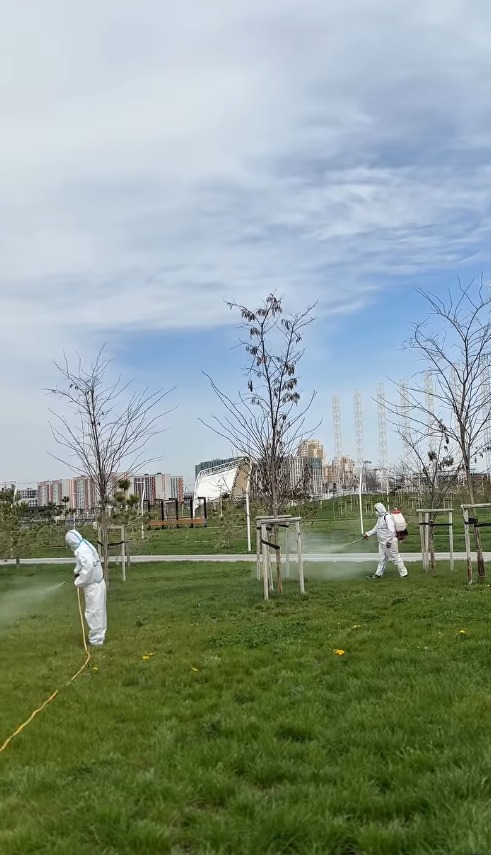 МАСАҒА ҚАРСЫ ЗАЛАЛСЫЗДАНДЫРУ БАСТАЛДЫ