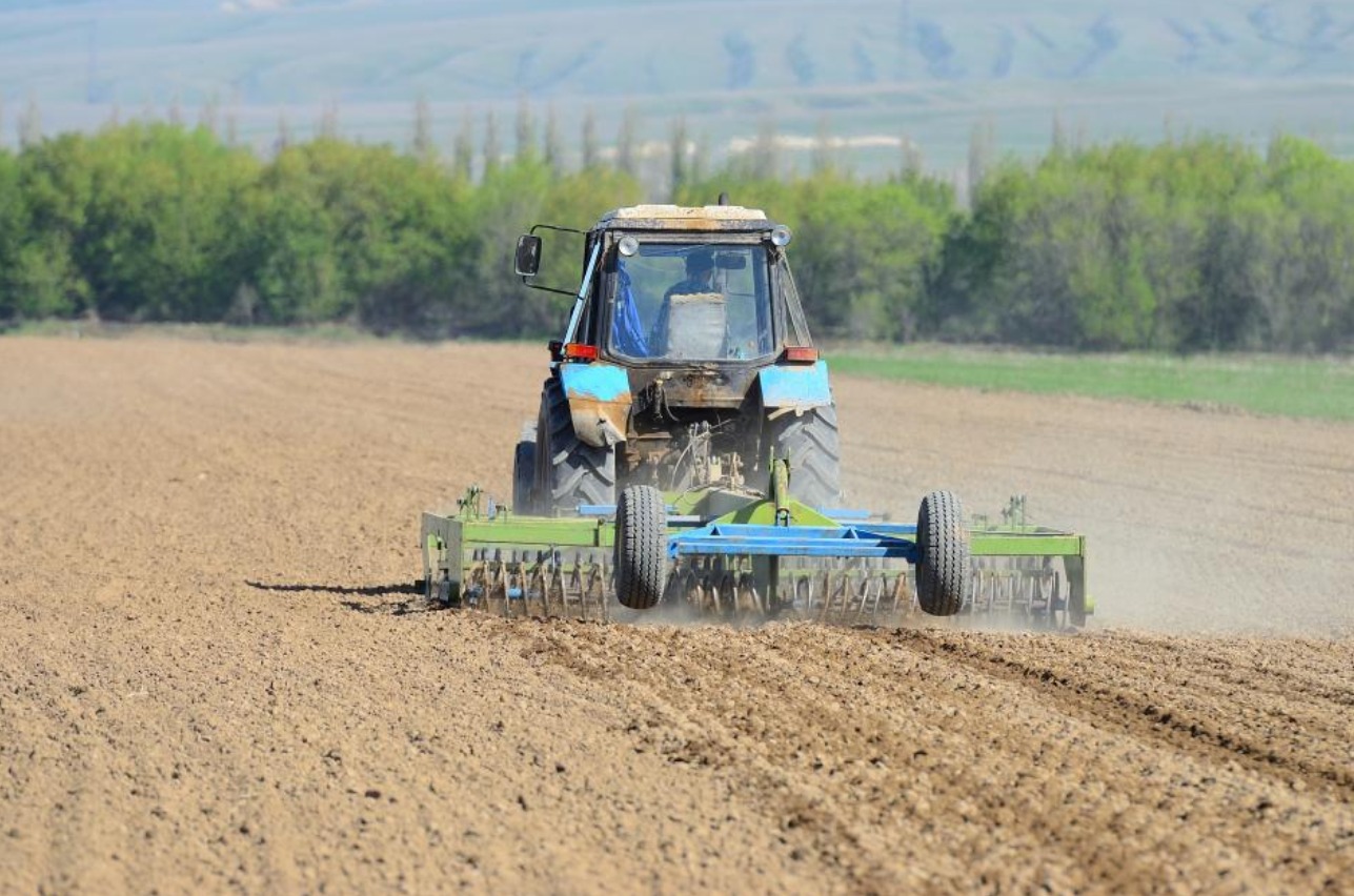 Жетісуда көктемгі дала жұмыстары қарқынды жүруде