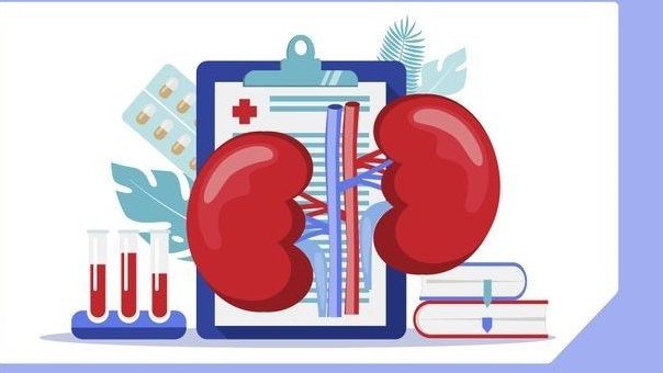 Всемирный день почки: карагандинцев приглашают на бесплатные консультации и обследования