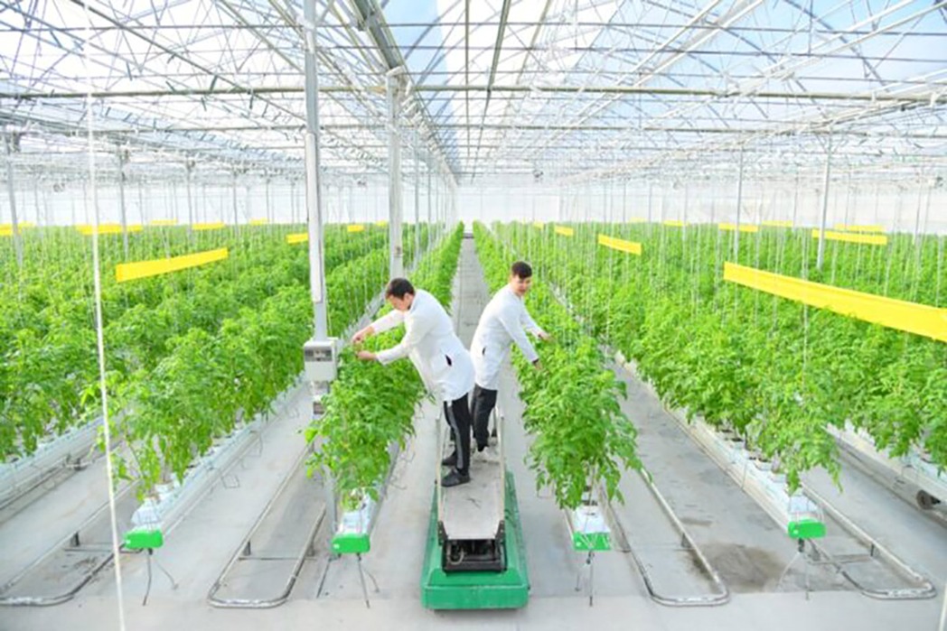 АГРОПРОМЫШЛЕННЫЙ КОМПЛЕКС ШЫМКЕНТА ВЫХОДИТ НА НОВЫЙ УРОВЕНЬ УСТОЙЧИВОГО РОСТА