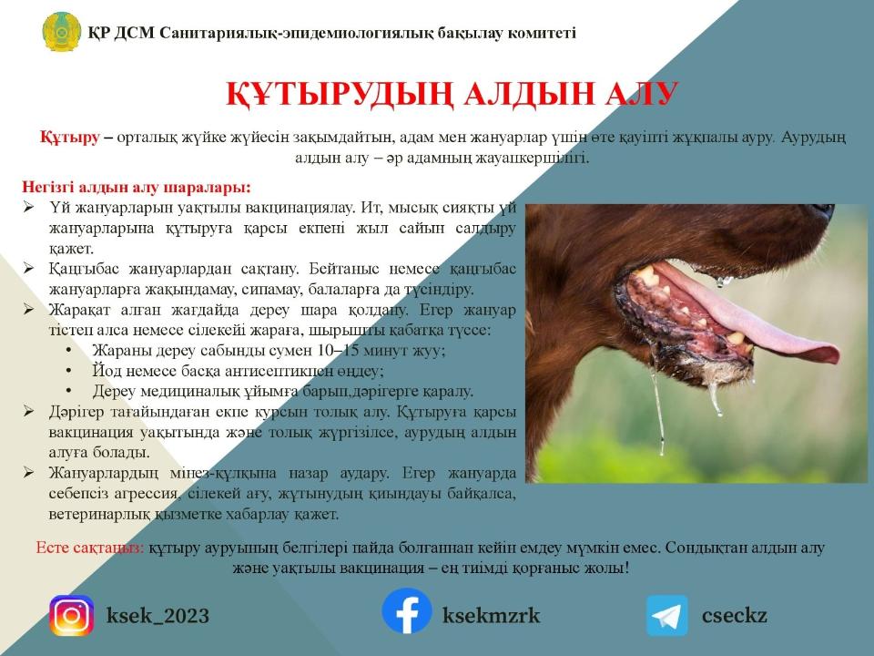 Құтырманың алдын алу