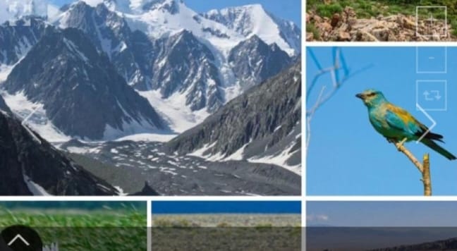 Казахстан утвердил Концепцию по сохранению природы