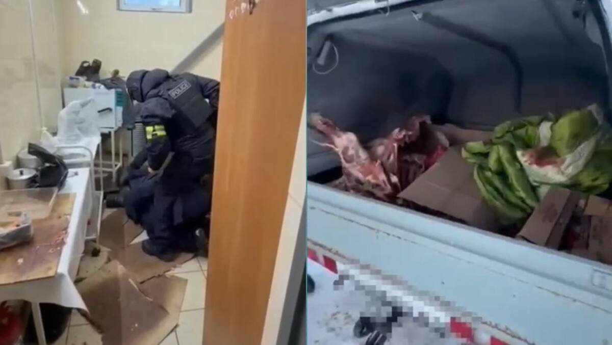 БҚО-да полицейлер жылқыларды ұрлап, автокөлікке айырбастаған күдіктіні ұстады