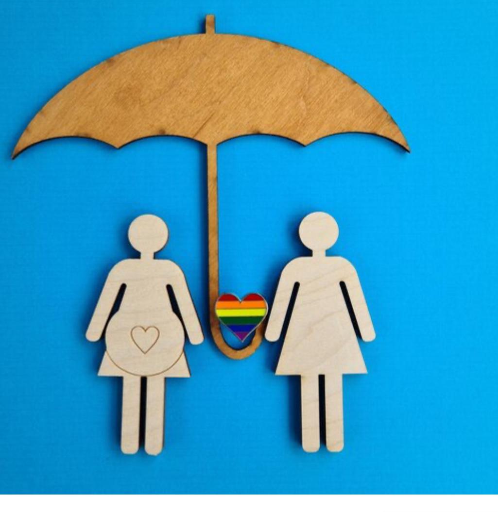 Жұмыс істейтін жүкті әйелдерді ұжымдық шарт арқылы әлеуметтік қорғау