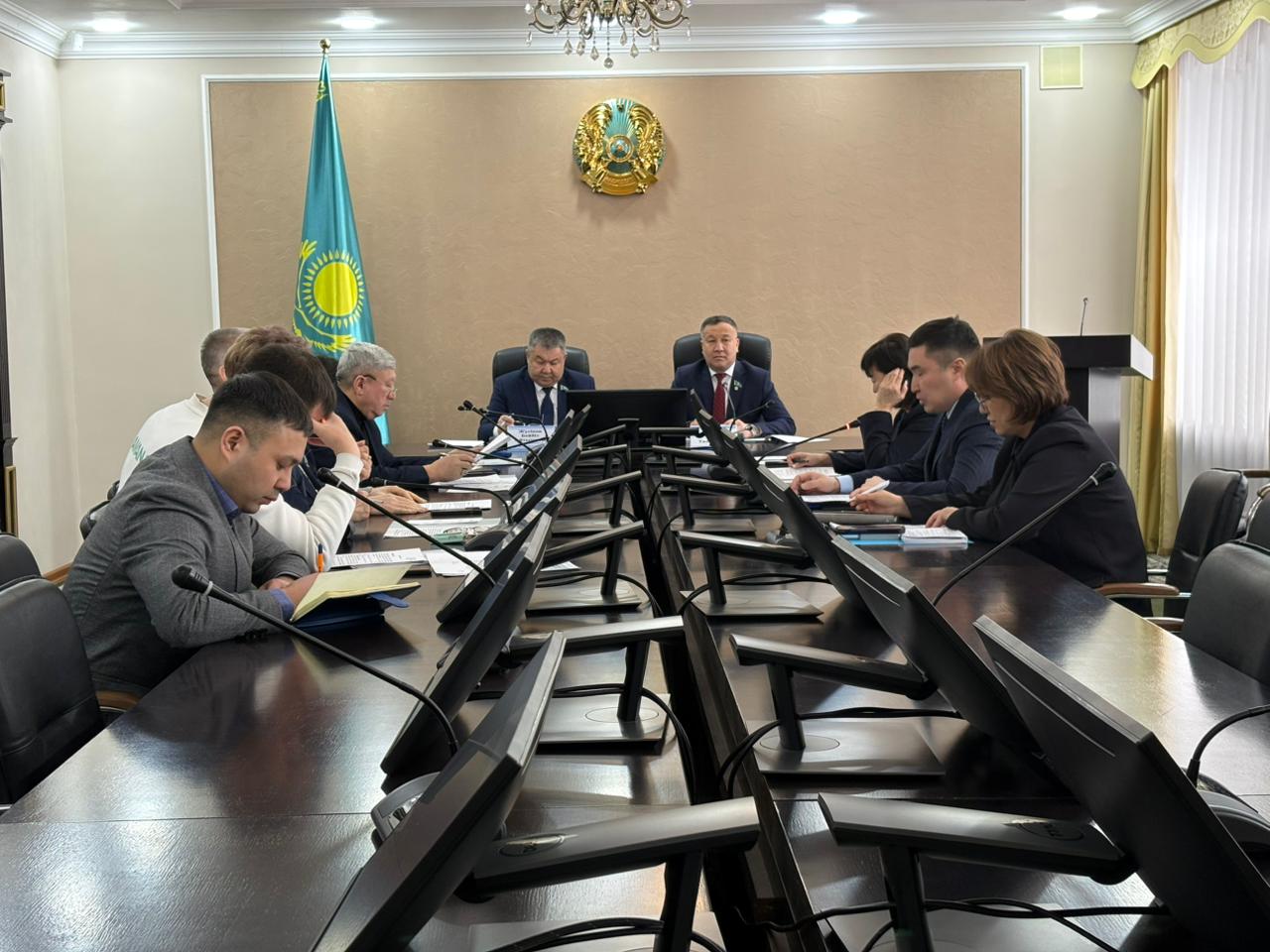 Депутаттар денсаулық сақтау мәселелерін талқылады