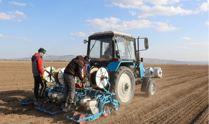Жамбыл облысында биыл 623,3 мың гектарға ауыл шаруашылығы дақылдары егіледі
