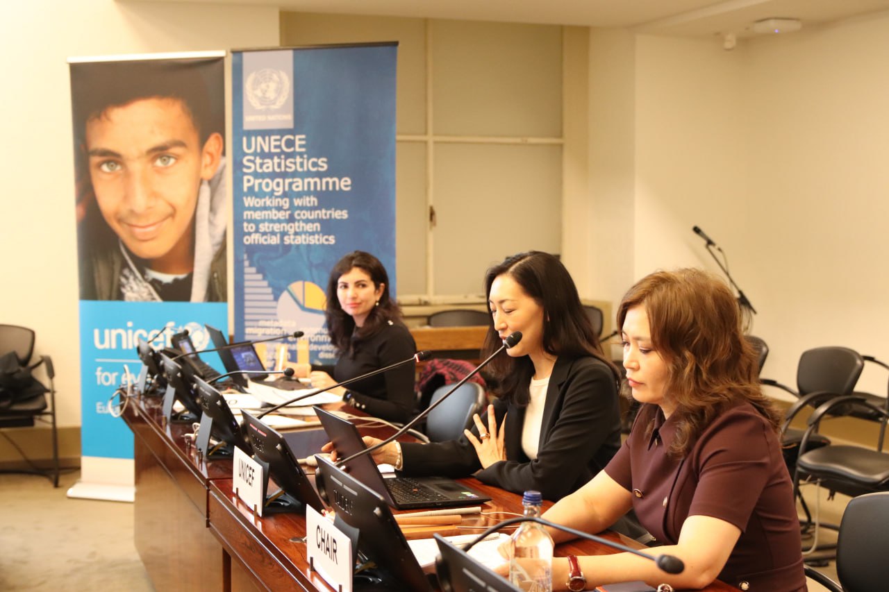 Қазақстан балалар статистикасы жөніндегі TransMonEE желісінің сессиясына төрағалық етуде