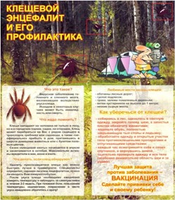 Вакцинация против клещевого энцефалита