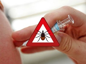 Кене энцефалитінің алдын алу шаралары