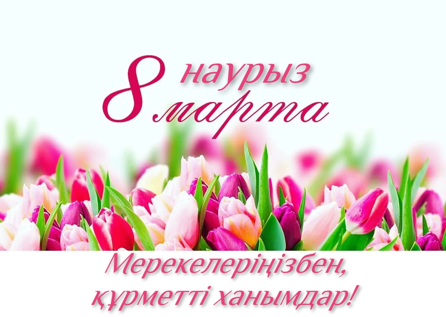 Дорогие женщины!