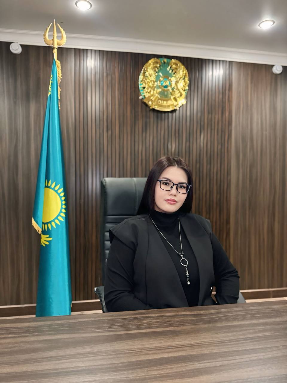 Кәсібилік пен жауапкершіліктің үлгісі