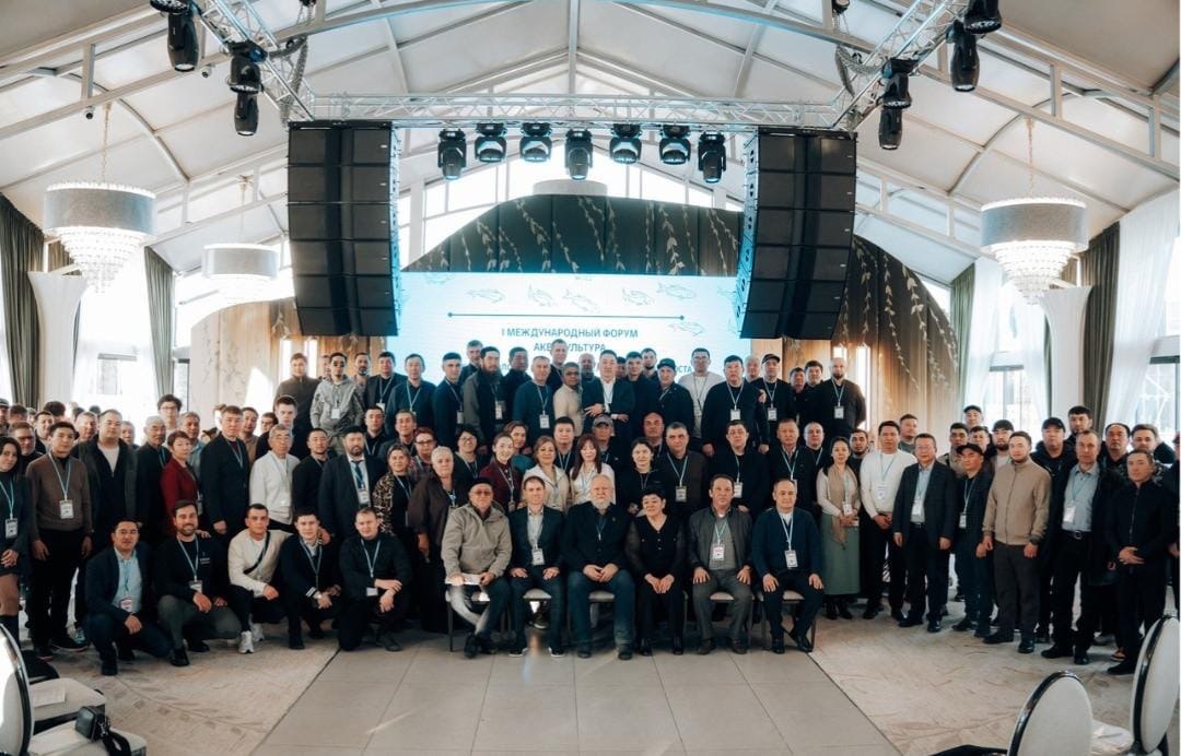 Аквамәдениет: тұрақты өсудің жаңа белесі