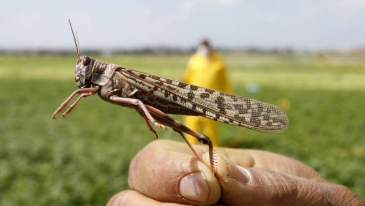 ХАБАРЛАНДЫРУ Құрметті Арыс қаласының тұрғындары!