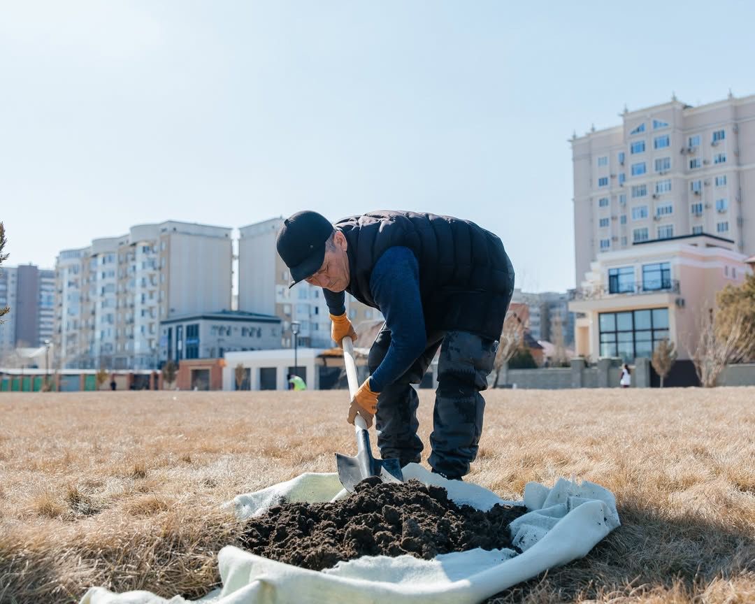 Биыл Атырауда 29 мың түп ағаш отырғызылады деп жоспарлануда