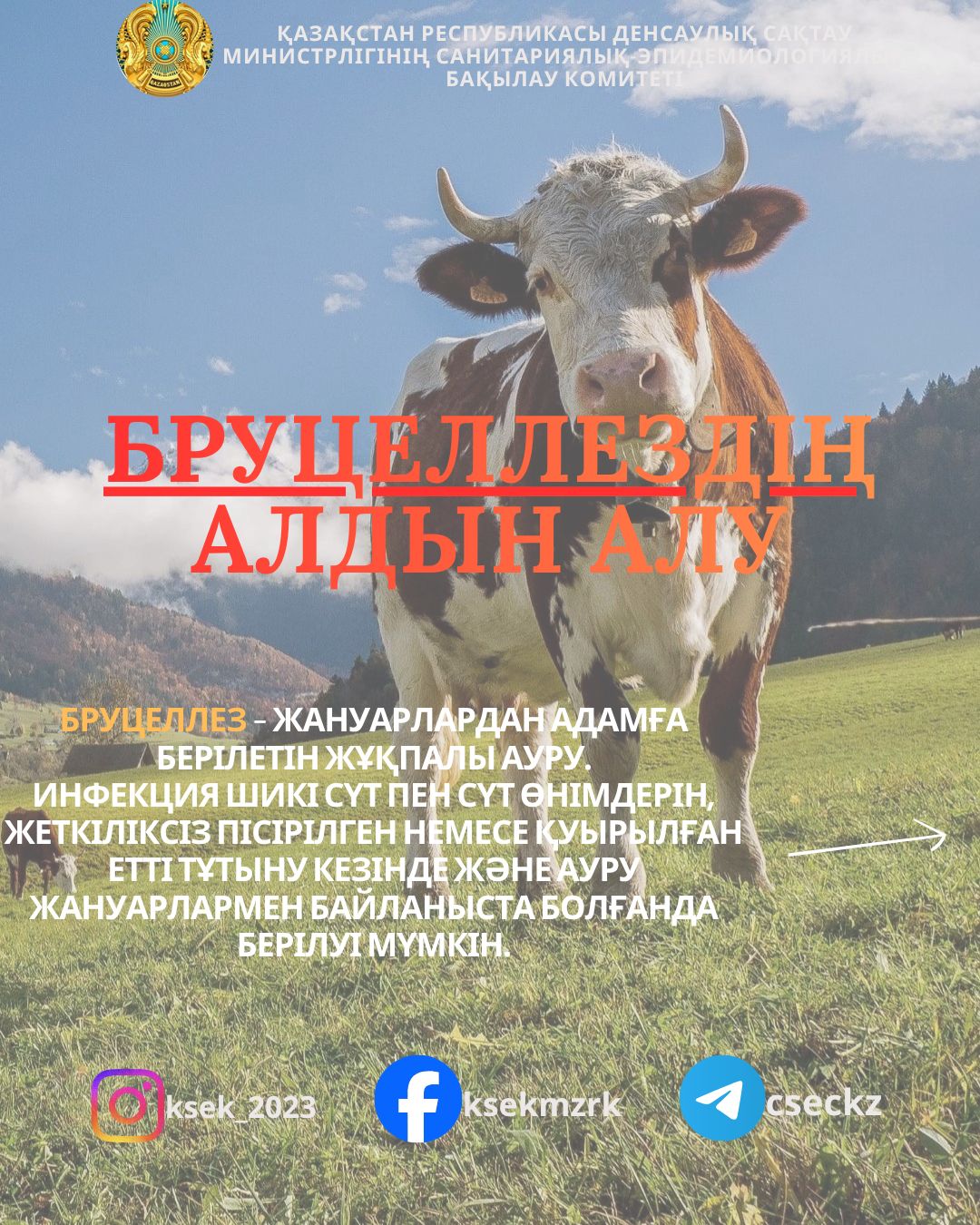 Бруцеллездің алдын алу