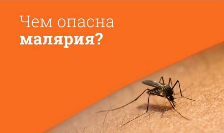 Малярия: важно знать!