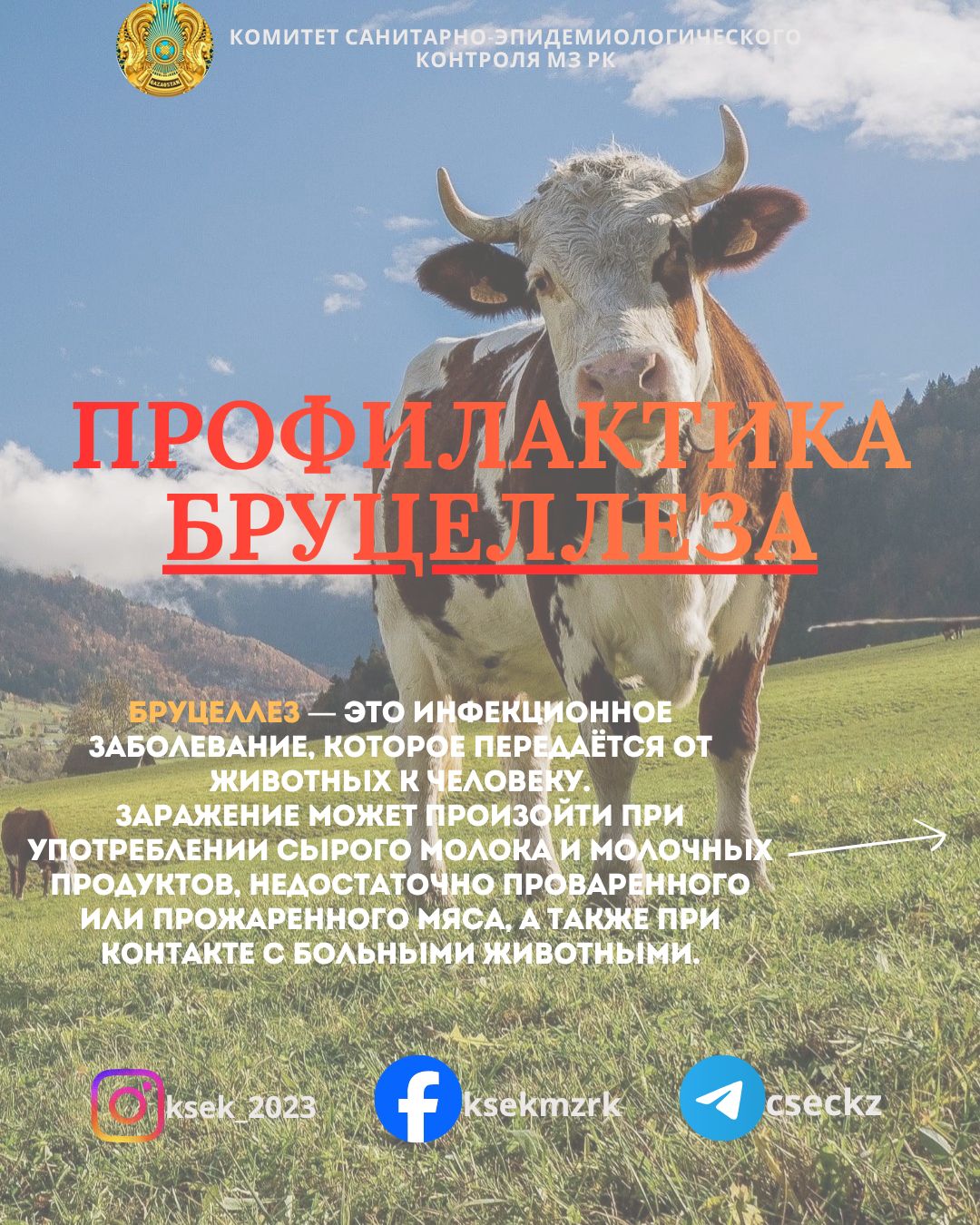 Профилактика бруцеллеза