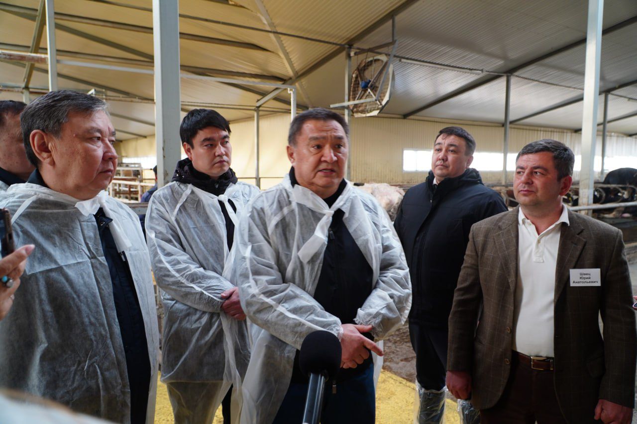 Ақмола облысында 400 басқа арналған заманауи сүт-тауар фермасы іске қосылды