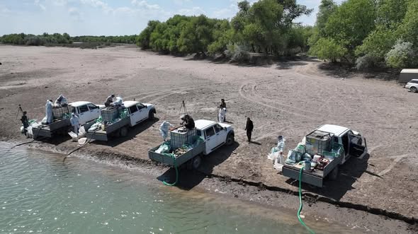 ТҮРКІСТАН: ОТЫРАР АУДАНЫНДА ШІРКЕЙГЕ ҚАРСЫ ДЕЗИНСЕКЦИЯ ЖҰМЫСТАРЫ БАСТАЛДЫ