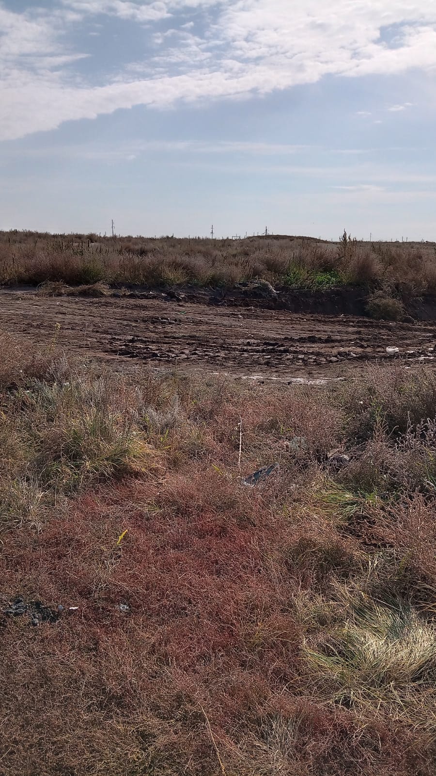 Таза округ - біздің ортақ қамқорлығымыз!