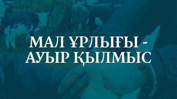 Мал ұрлығы - ауыр қылмыс !