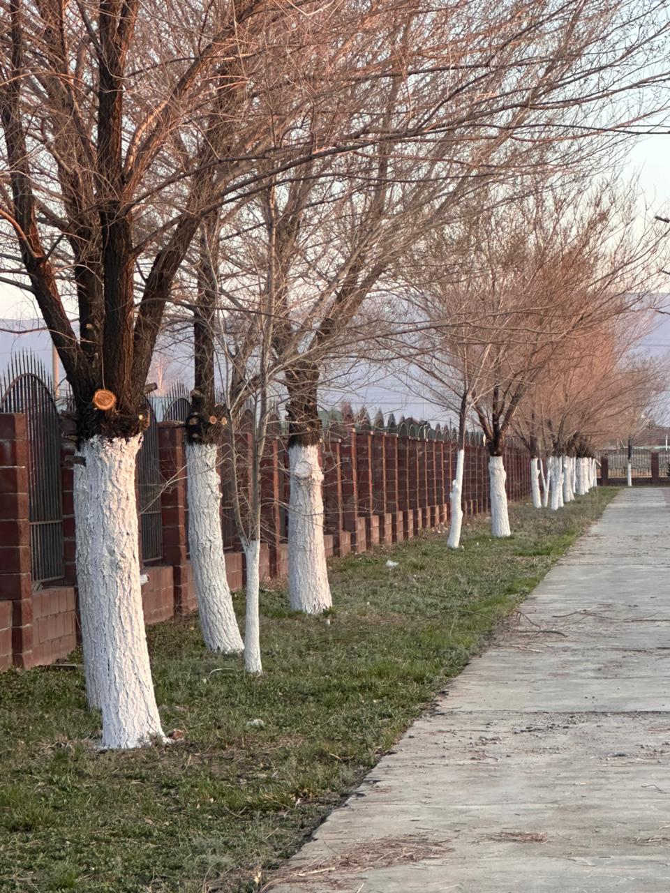 «Таза Қазақстан» экологиялық акциясы аясында тазалық жұмыстары ұйымдастырылды