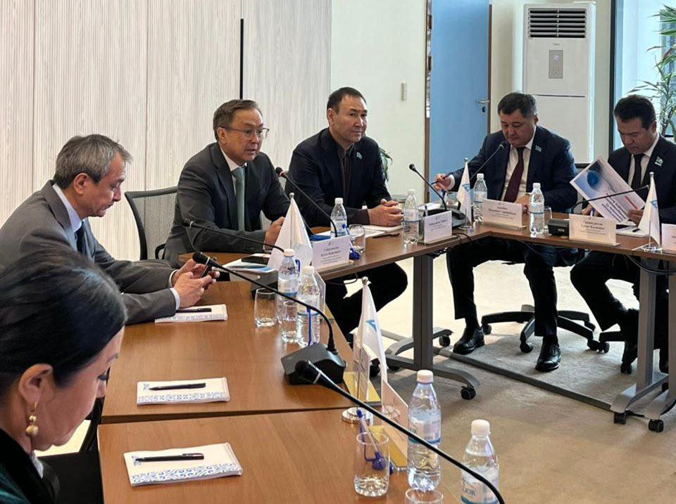 Депутаттар елорда әуежайын дамыту мәселелерін талқылады (09.04.2026)