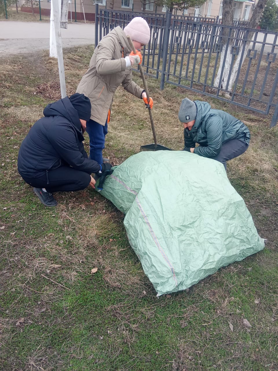 Таза бейсенбі