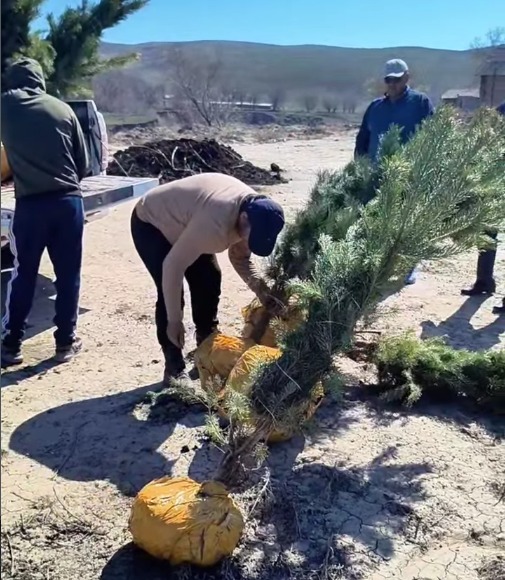 "Таза Қазақстан" экологиялық акциясы аясында абаттандыру жұмыстары өз жалғасын табуда