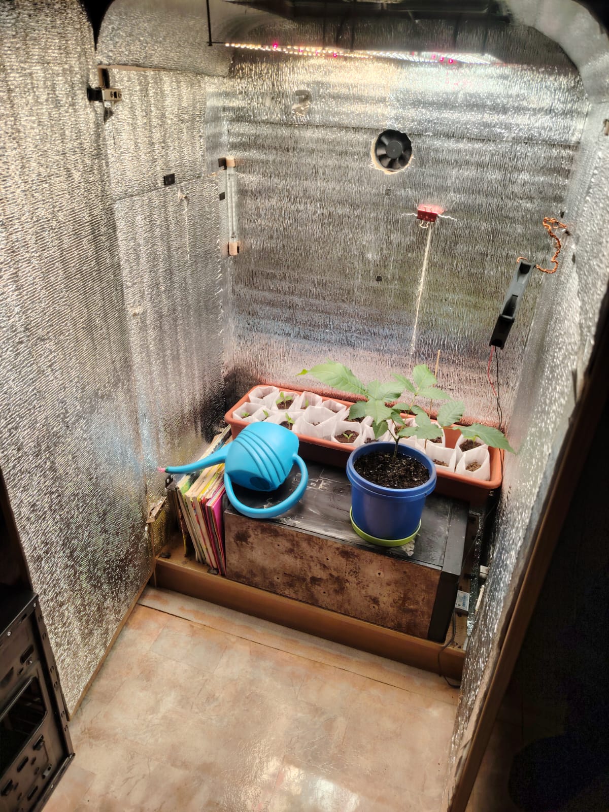 В Аршалынском районе ликвидировали самодельную фитолабораторию