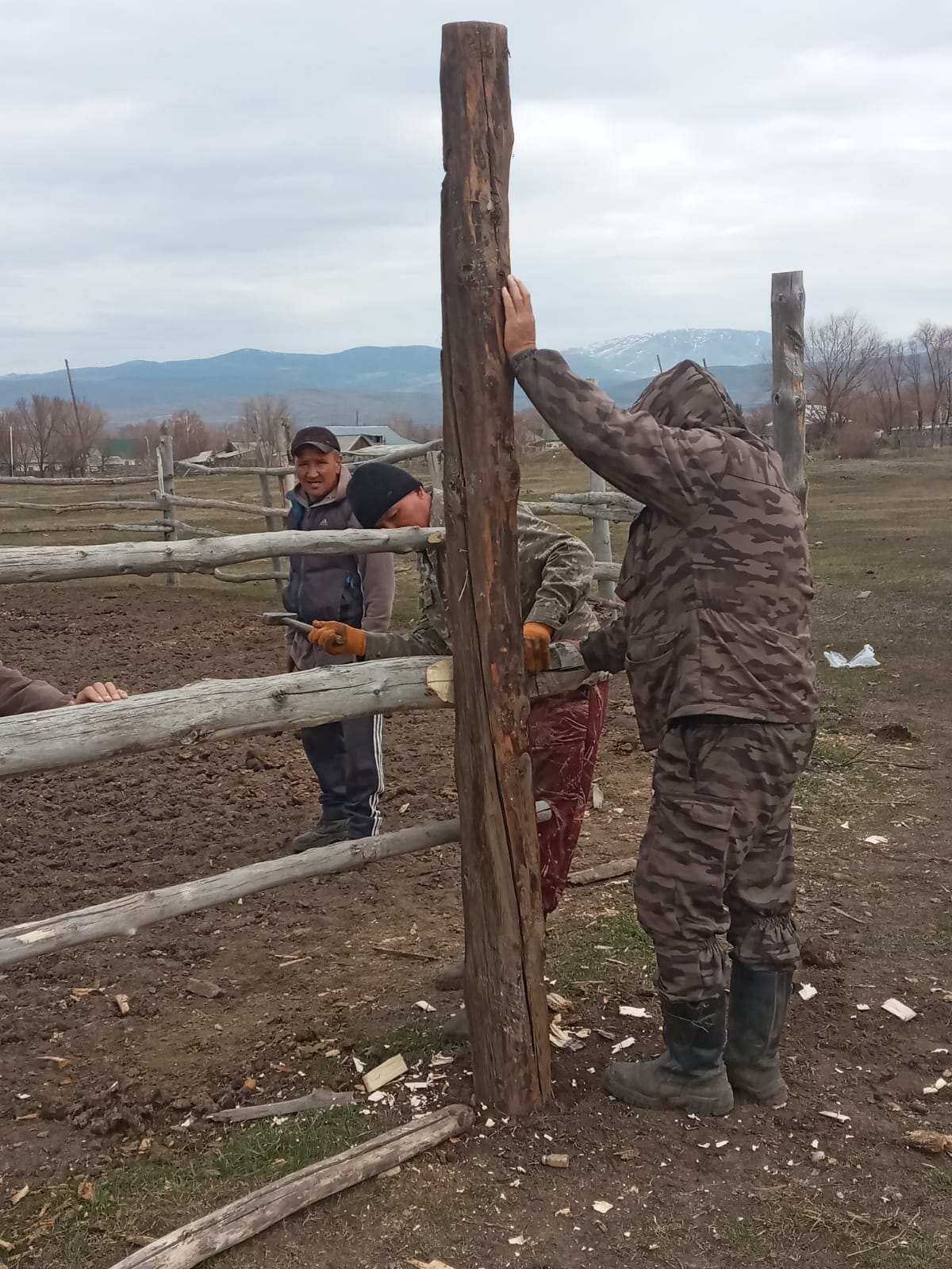 Малға екпе салуға арналған арнайы орындажөндеу жұмыстары жүргізілуде