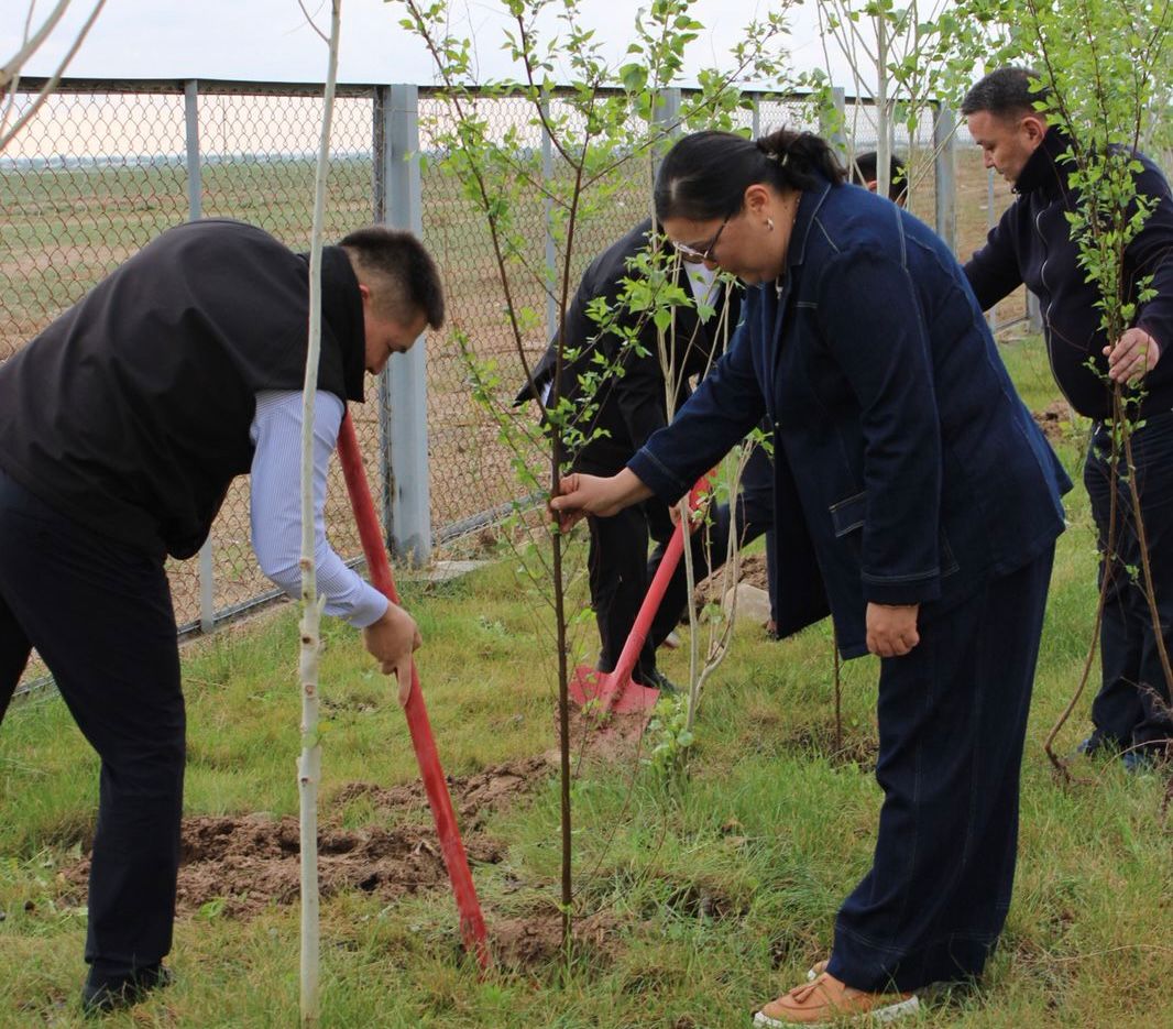 «ТАЗА ҚАЗАҚСТАН» АКЦИЯСЫ АЯСЫНДА «САМҒАУ» ОҢАЛТУ ОРТАЛЫҒЫНДА ИГІ ІС-ШАРА ӨТТІ