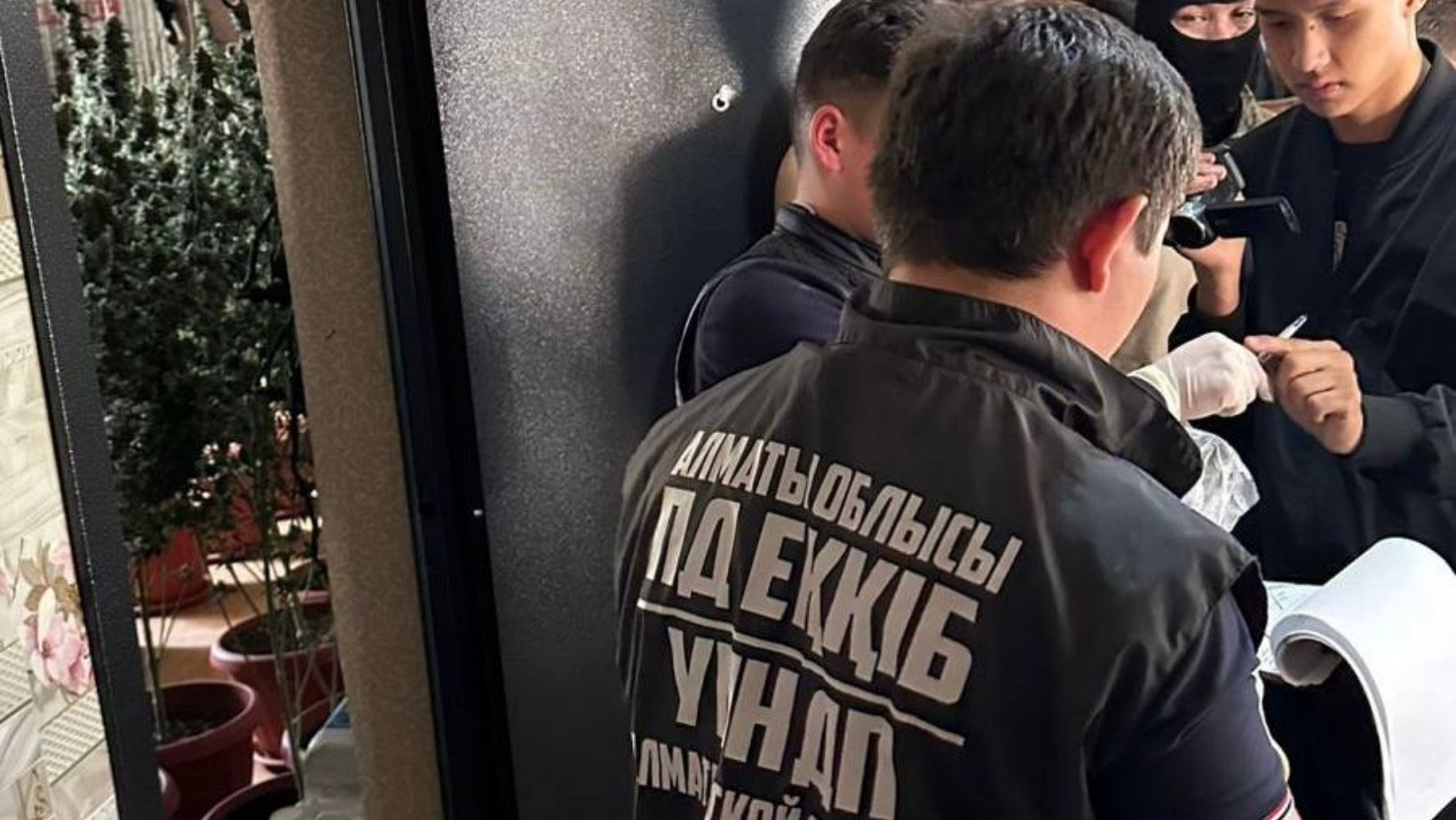 Алматы облысында құрамында есірткі бар өсімдіктерді заңсыз өсіру фактісі анықталды