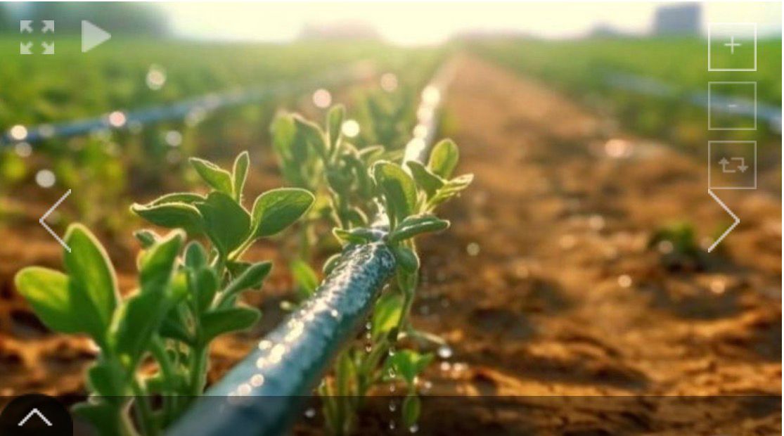 Снижение водопотребления — один из ключевых приоритетов посевной кампании.