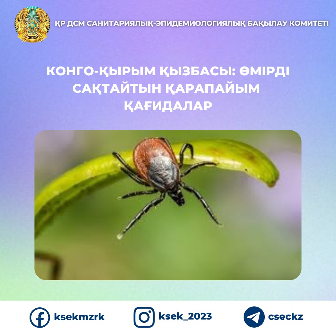 Конго-Қырым қызбасы: өмірді сақтайтын қарапайым қағидалар