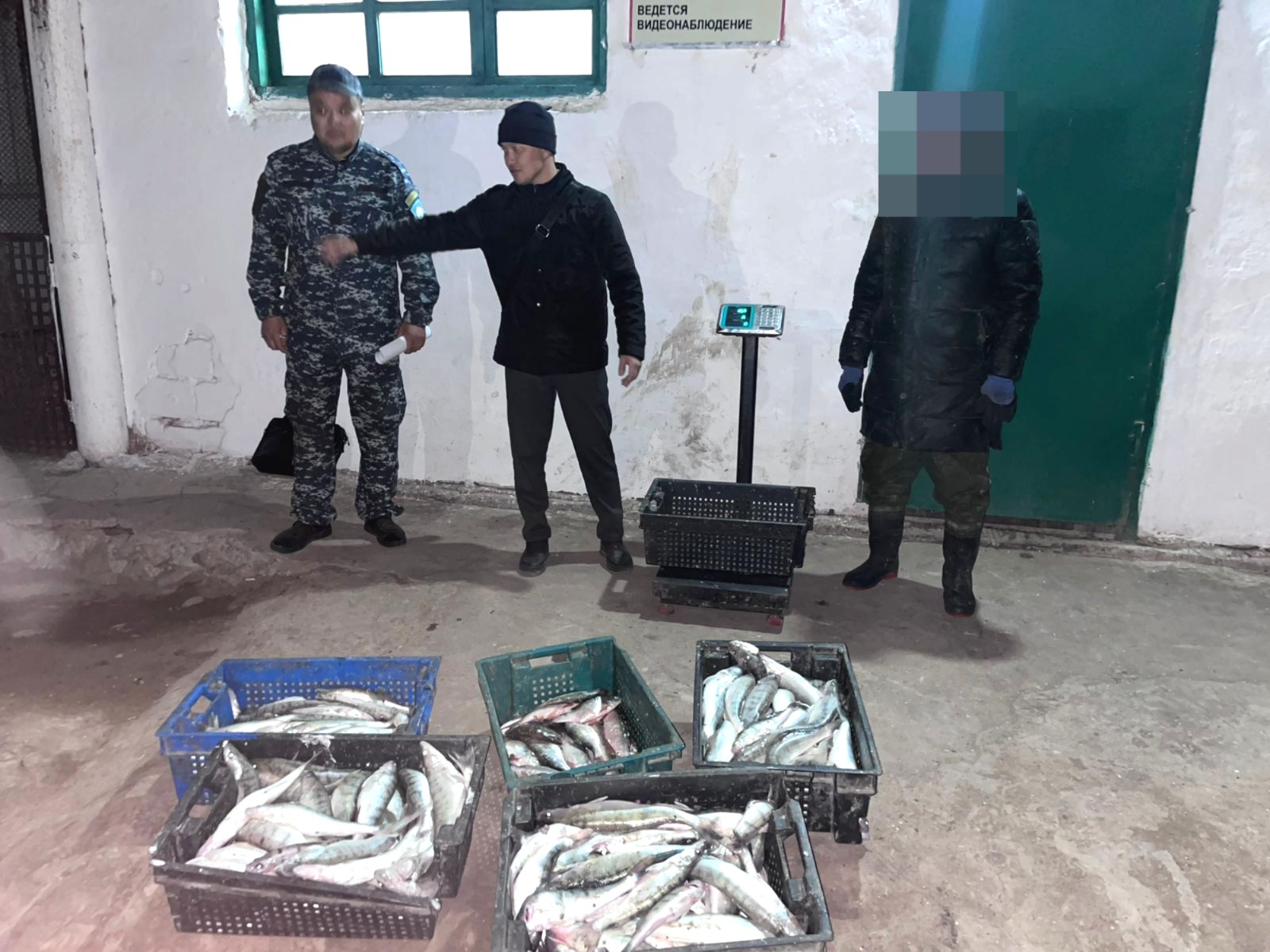 Балқаш көлінде браконьерлік әрекетке тосқауыл қойылды