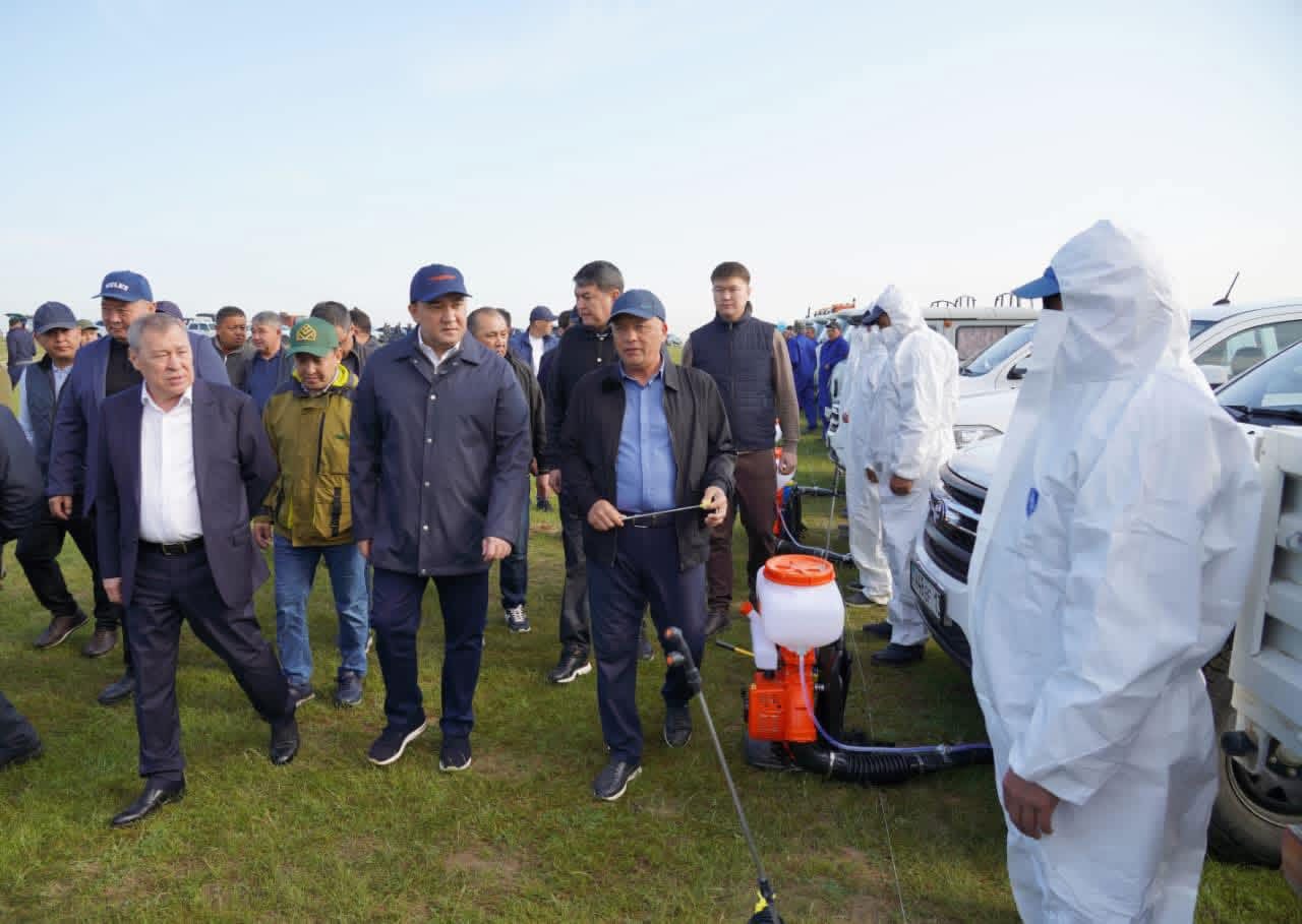 ТҮРКІСТАН ОБЛЫСЫНДА ШЕГІРТКЕГЕ ҚАРСЫ КҮРЕС КҮШЕЙДІ