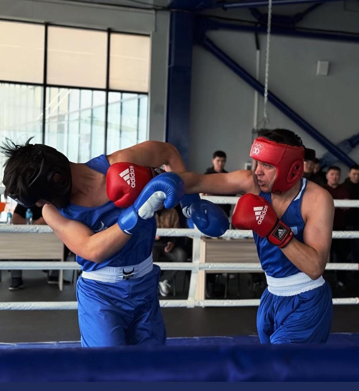 Күш, жылдамдық және тәртіп: Павлодар полициясында бокс чемпионаты өтті