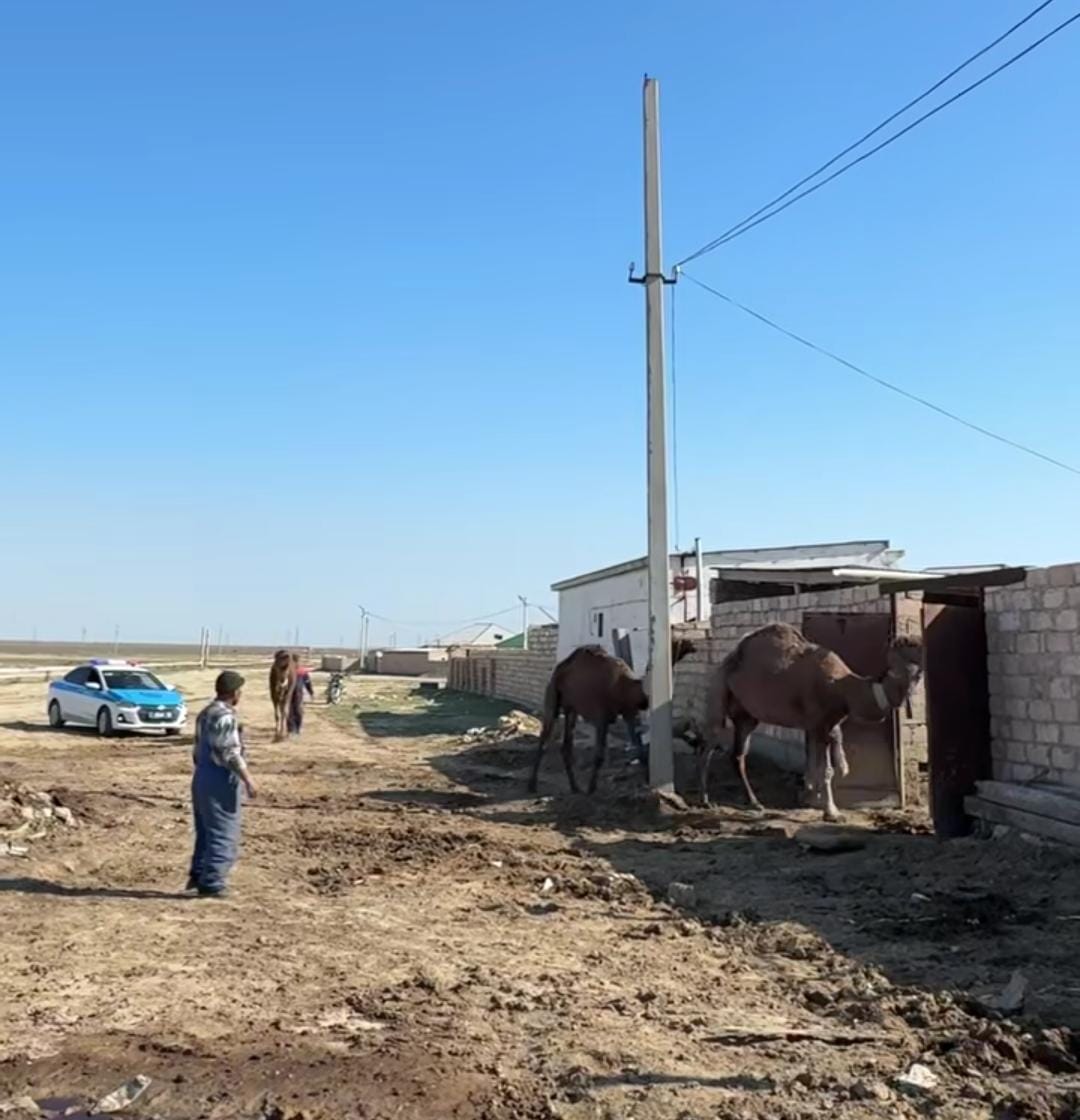 Құқық бұзушылықтың алдын алу: өңірдегі шаруа қожалықтары тексерілді