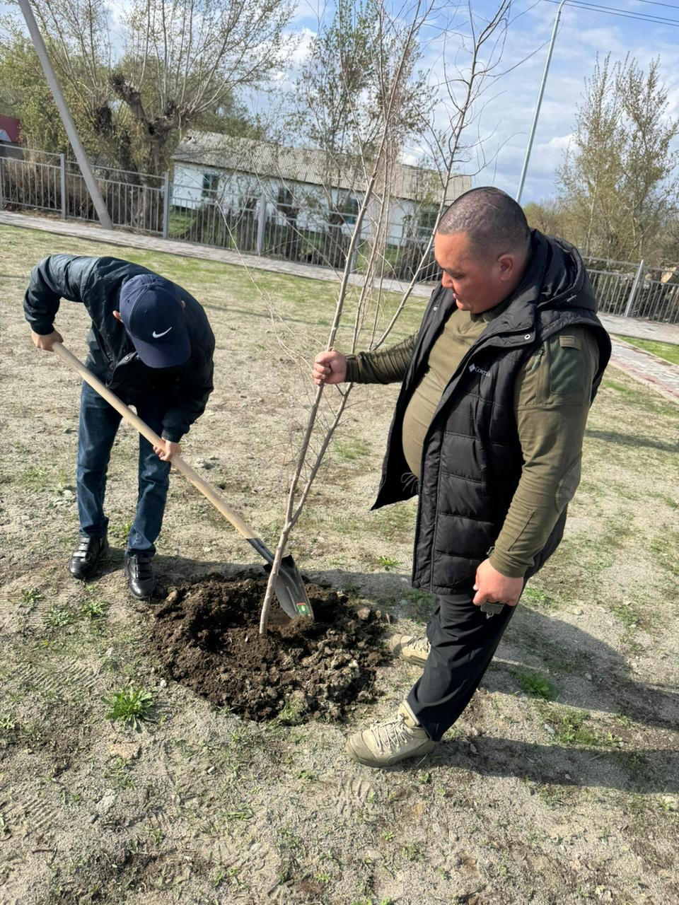 Ағаш отырғызу