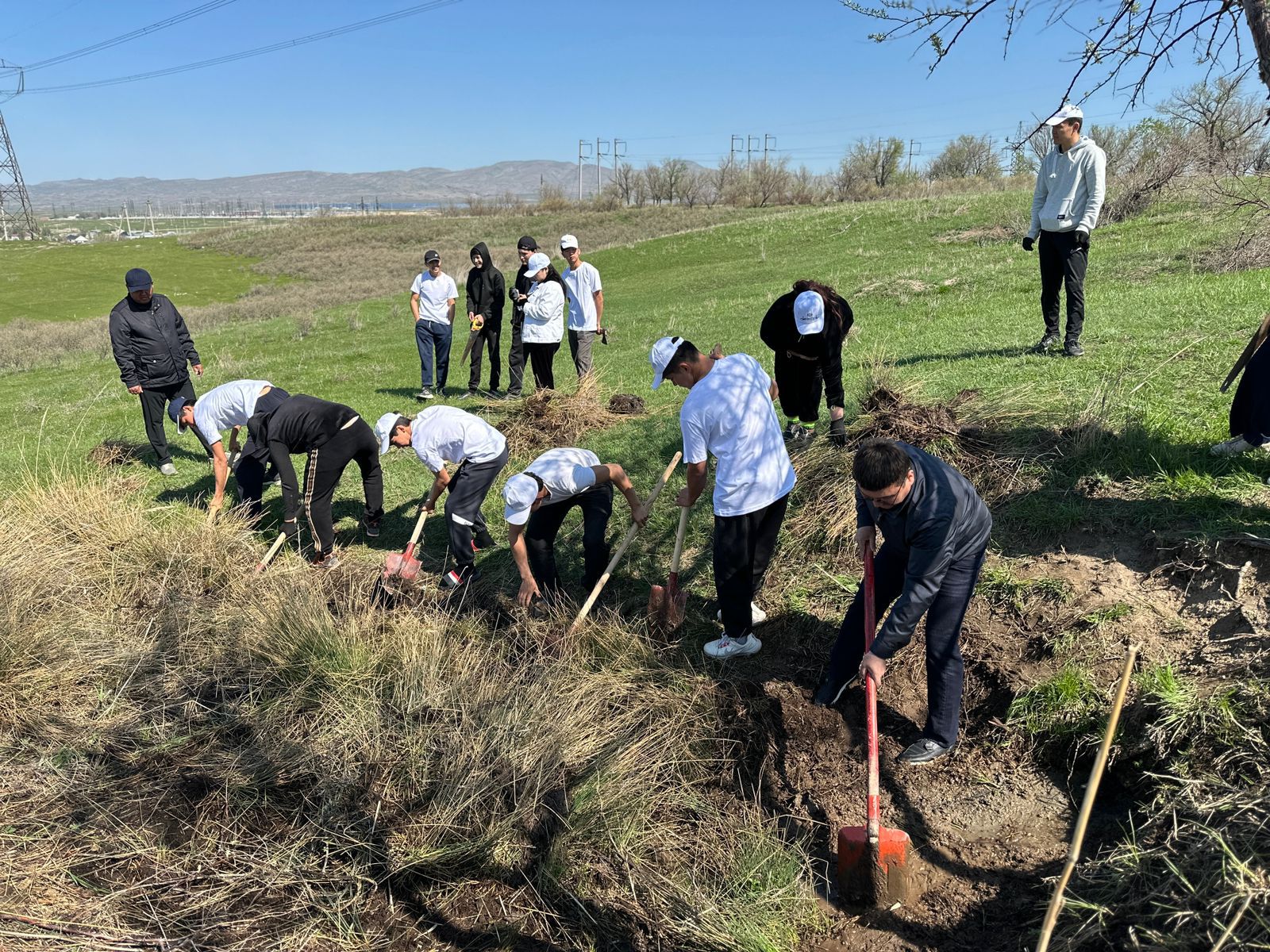 Жамбыл облысында «Мөлдір бұлақ» акциясы жалғасуда