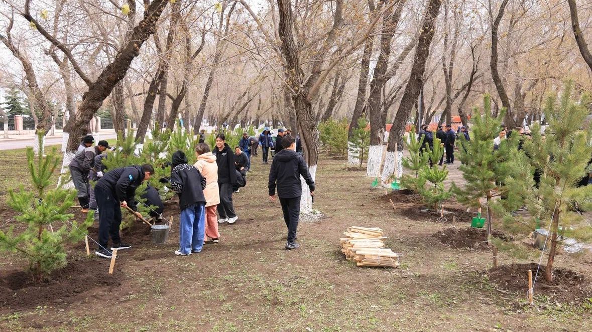 «Таза Қазақстан»: Қарағандыда бір күнде 400 ағаш отырғызылды