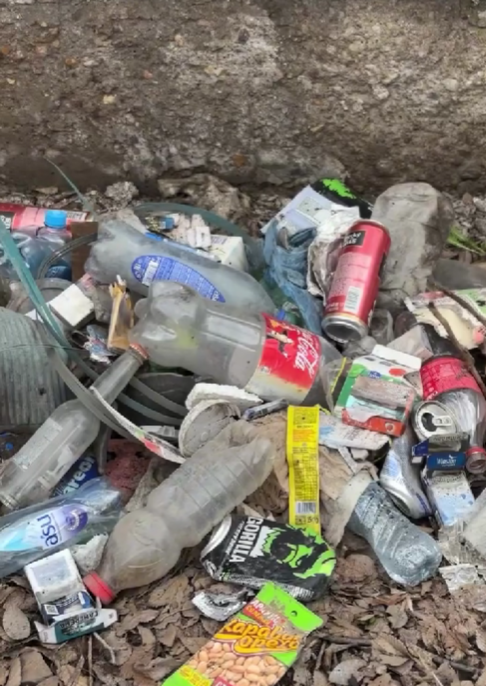 Теміртауда «Таза Қазақстан» бағдарламасы аясында бұлақтарды тазарту бойынша экологиялық акция өтті