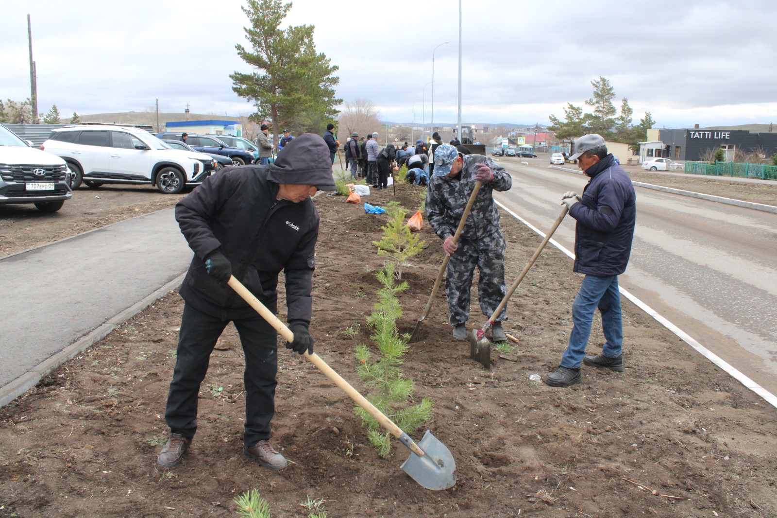 «ТАЗА ҚАЗАҚСТАН» АКЦИЯСЫ АЯСЫНДА БАТЫРЫМЫЗДЫҢ ҚҰРМЕТІНЕ – 100 ТҮП ҚАРАҒАЙ!