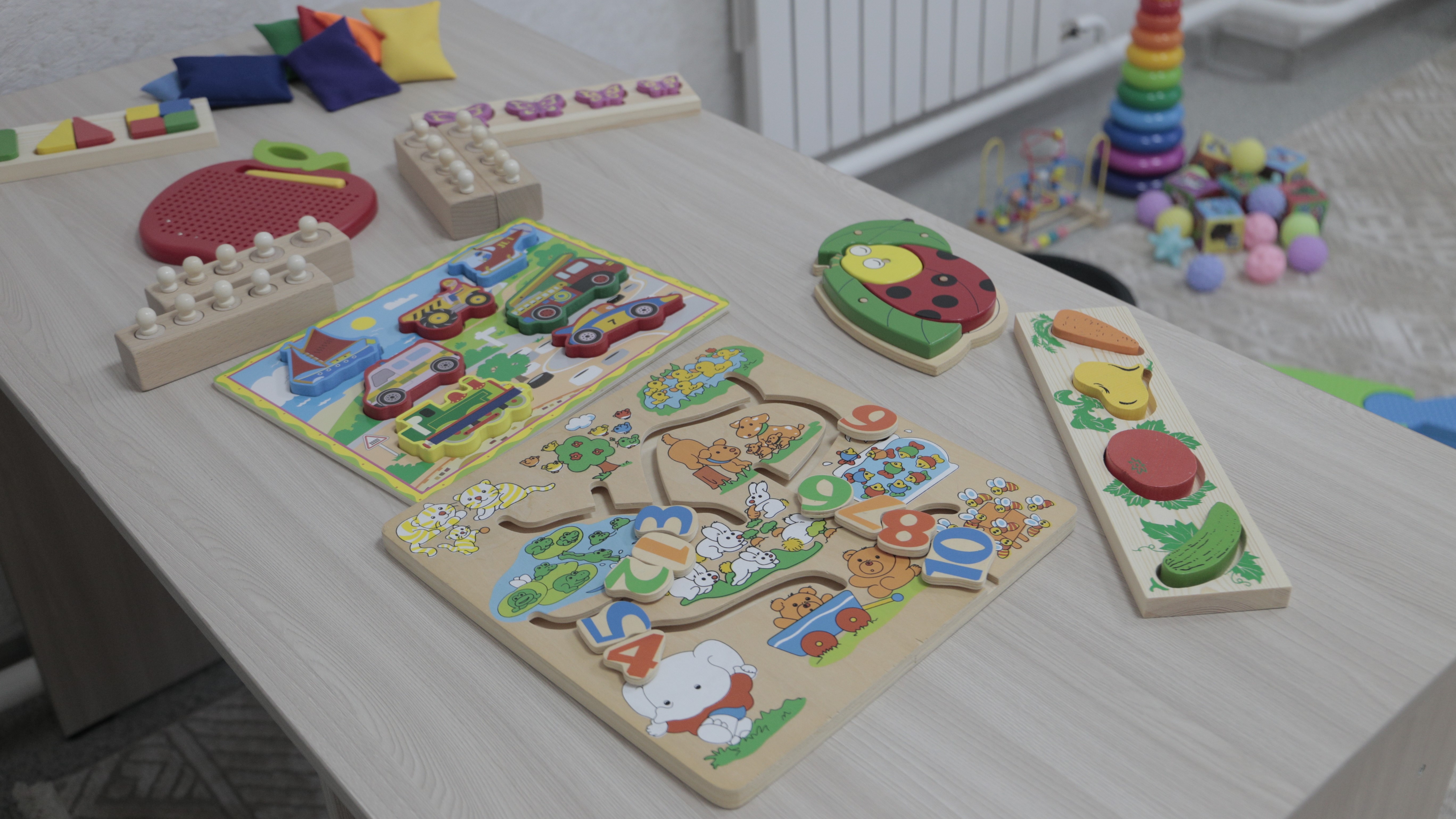 Әр балаға қамқорлық: Ақмола облысында ерекше балаларға сапалы жағдай жасалған