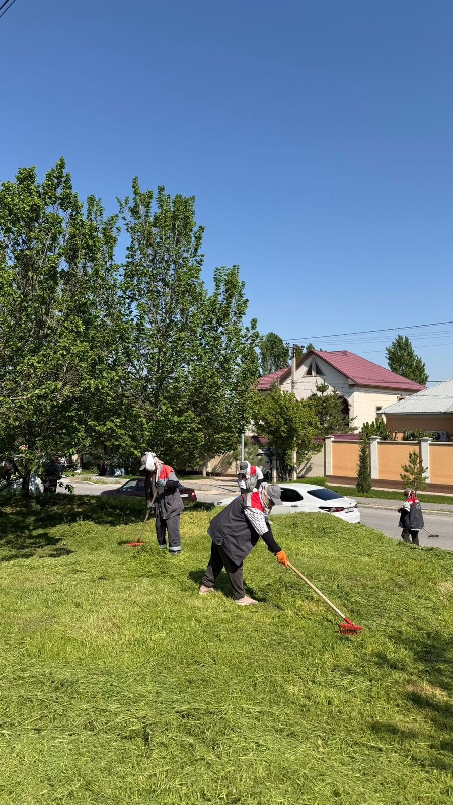 ТҰРАН: АУҚЫМДЫ ЖАЛПЫҚАЛАЛЫҚ СЕНБІЛІК